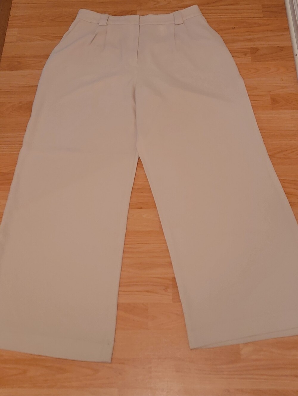 Express Womens Beige Wide Leg High Rise Trouser Dress Pants - Size 14 Long